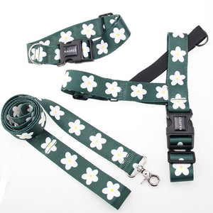 Elevate Your Pet's Walks with Our Comfortable Vest Style Pet Harness Leash