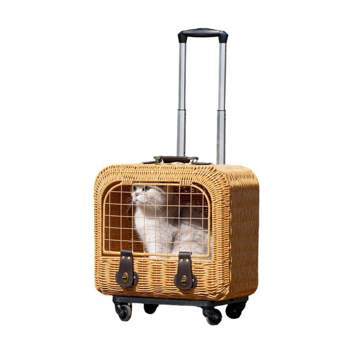 The Ideal Pet Travel Companion