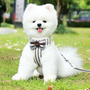 Discover the Perfect Pet Vest Harness for Your Furry Friend!