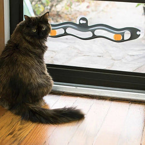 Windowsill Pet Track Ball Toy: The Ultimate Feline Fun Factory