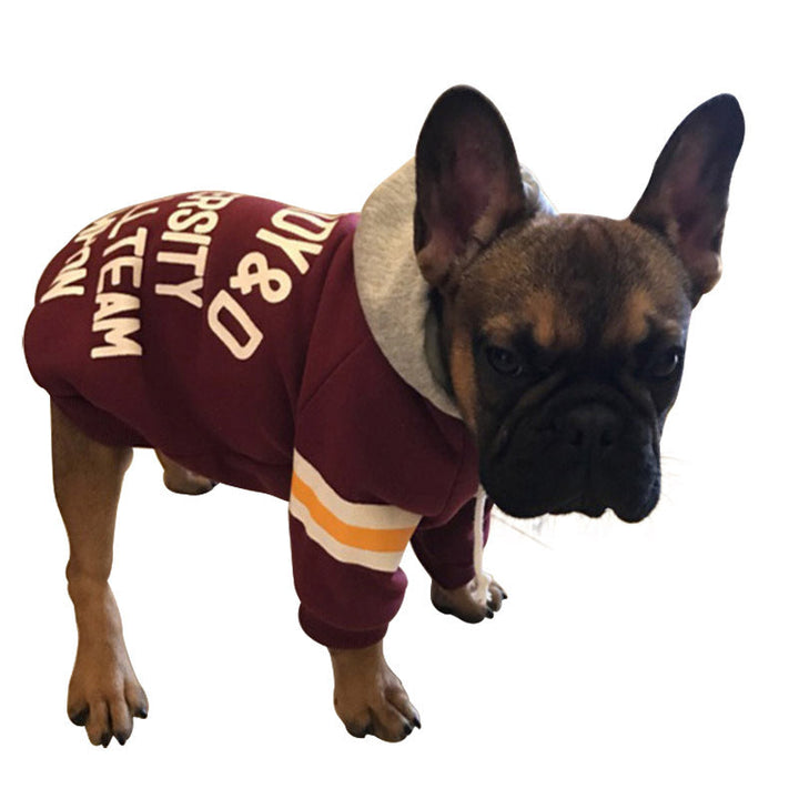 Cozy Pet Sweater For Everyday Warmth And Comfort