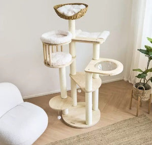 The Perfect Haven for Your Feline Friends