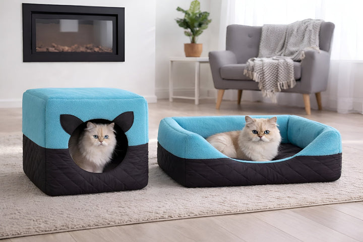 Every Pet Needs Comfortable Beds