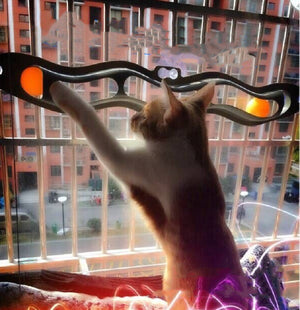 Why Your Cat Needs the Windowsill Pet Track Ball Toy