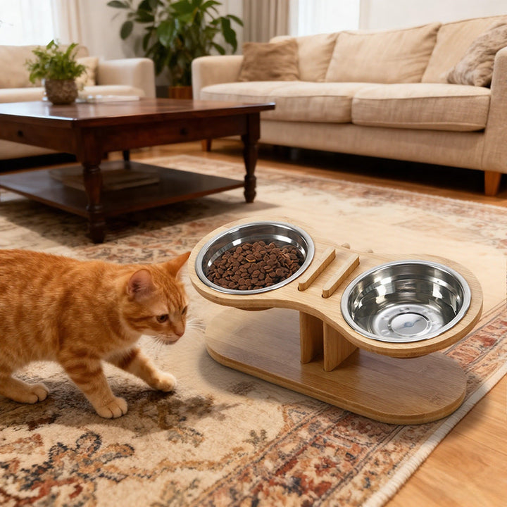 Transform Mealtime for Your Furry Friends